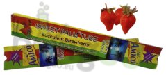 Palm Wraps Succelent strawberry