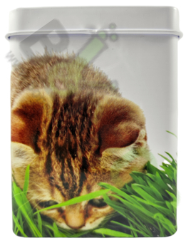 Tin box Cat